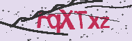 Captcha認証コード